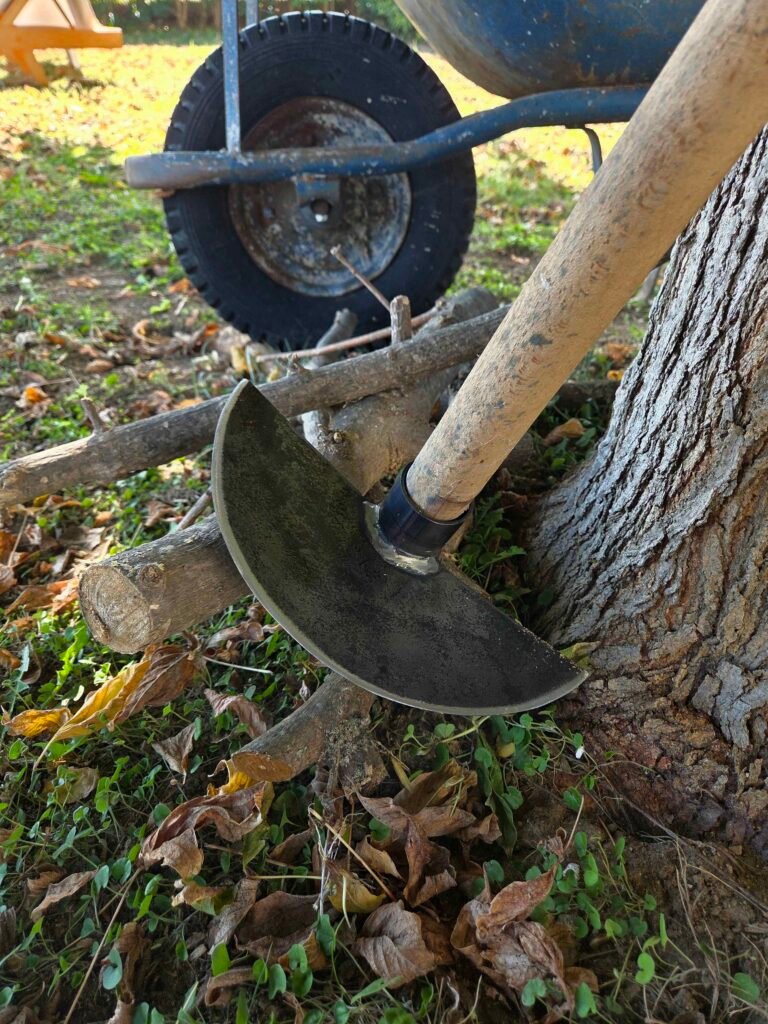 Carbon Steel Hoe Head